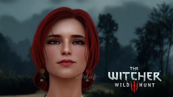 《巫师3：狂猎》本体+500mod整合版