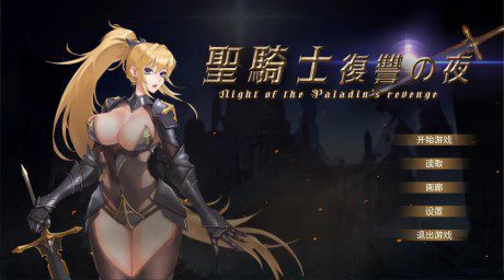 圣骑士复仇之夜/聖騎士復讐の夜