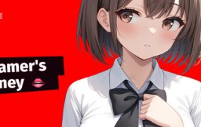 流媒体玩家的旅程/Streamer’s Journey
