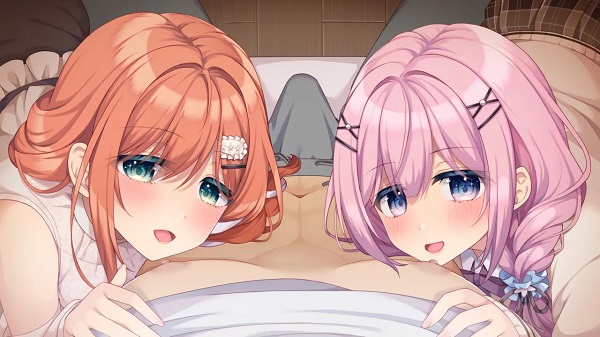 姐姐妹妹想要扭曲我的癖好！