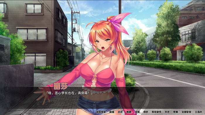 整个小镇都是我的后宫！/License to Breed（v1.2.1）